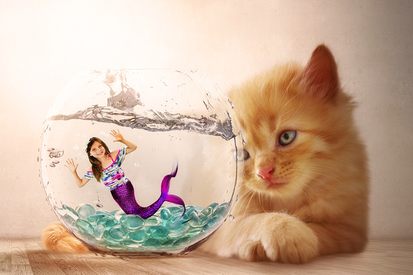 Mermaid in Fishbowl Digital Background by Tara Mapes